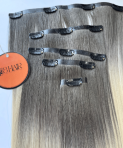 Straight Seamless Clip in Hair Extensions #AB Color