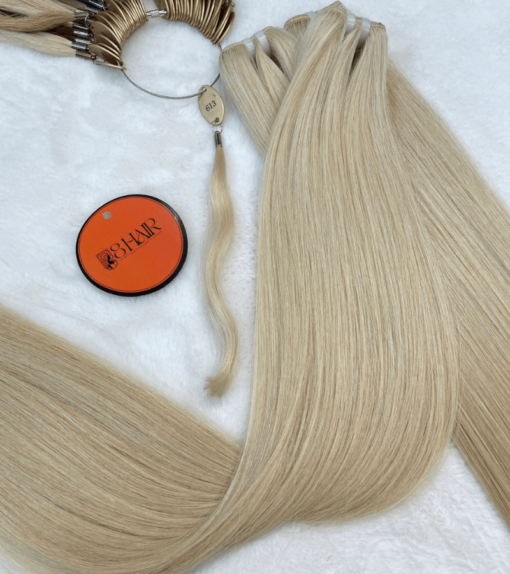 Raw Straight Hair Bundles #613 Color